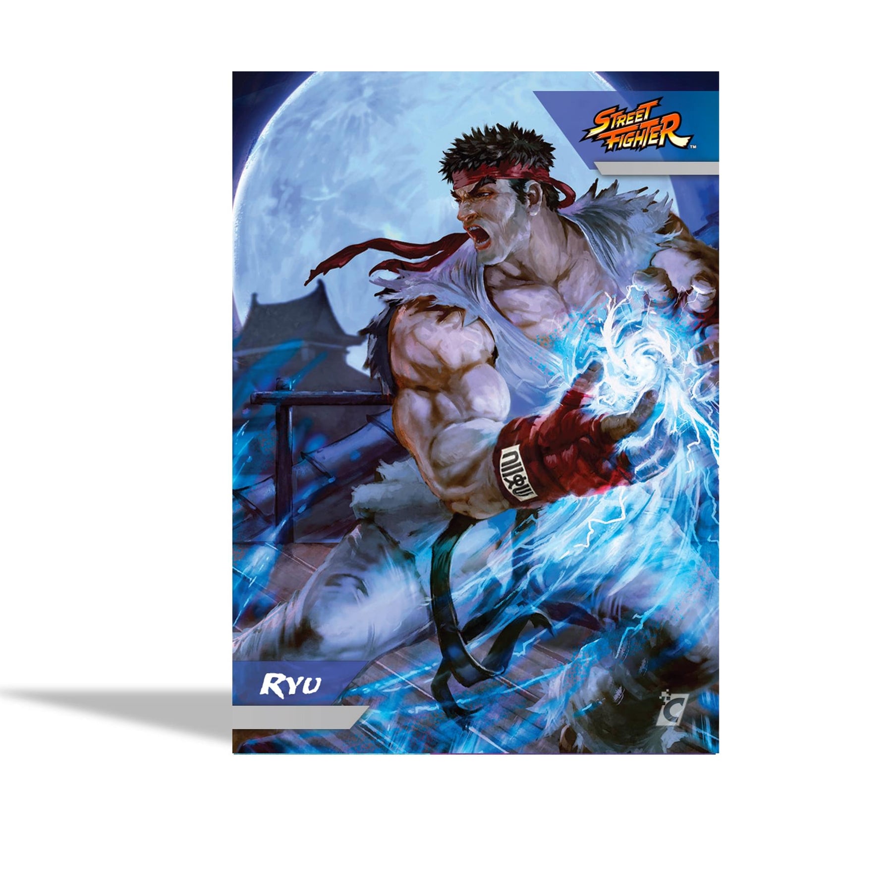 Street Fighter Series 1 Trading Cards | 12 Collector Boxes