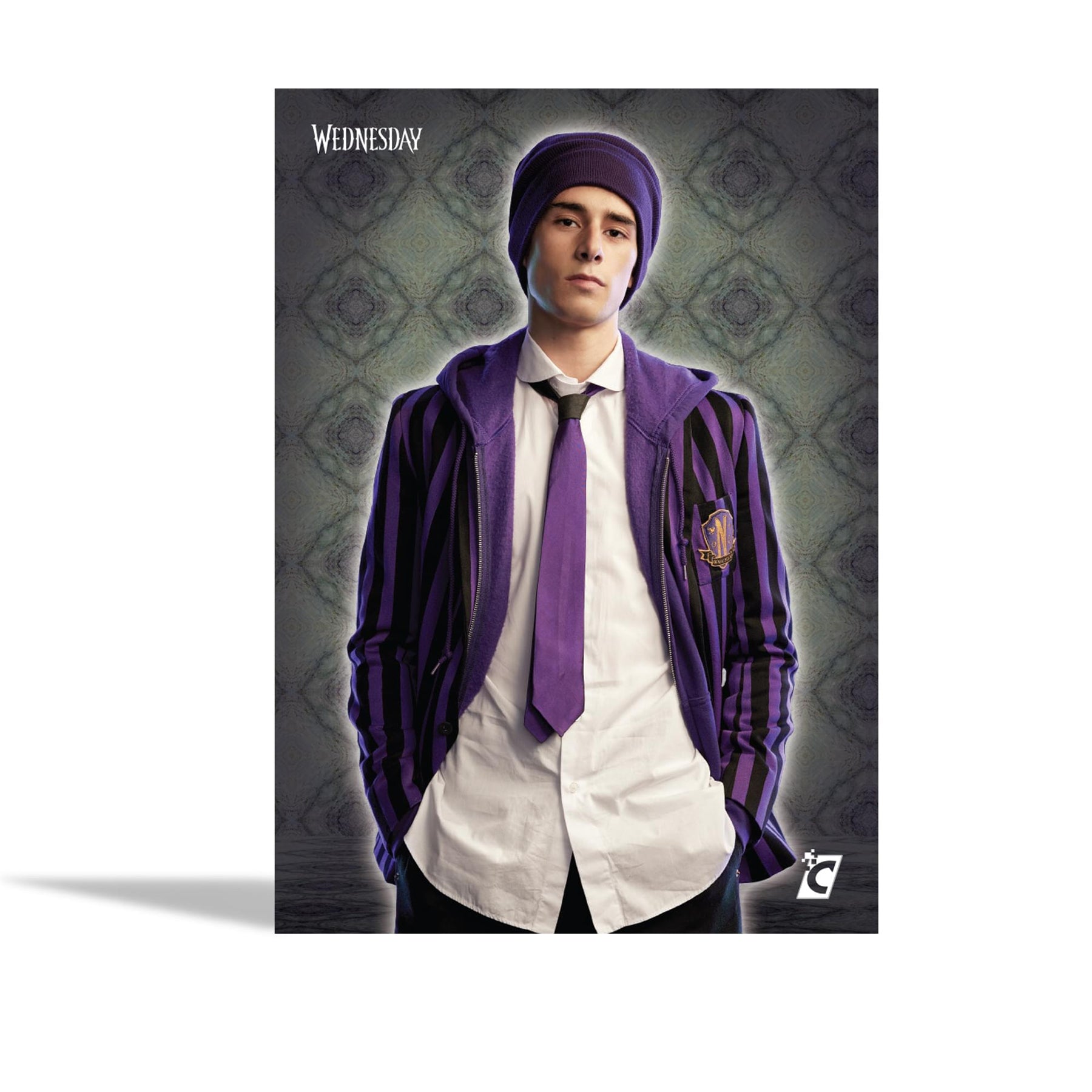 Wednesday Series 1 Trading Cards Collector Box Master Case | 48 Boxes