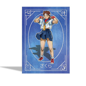 Street Fighter Alpha Trading Cards (Japanese Edition) Master Case | 144 Packs