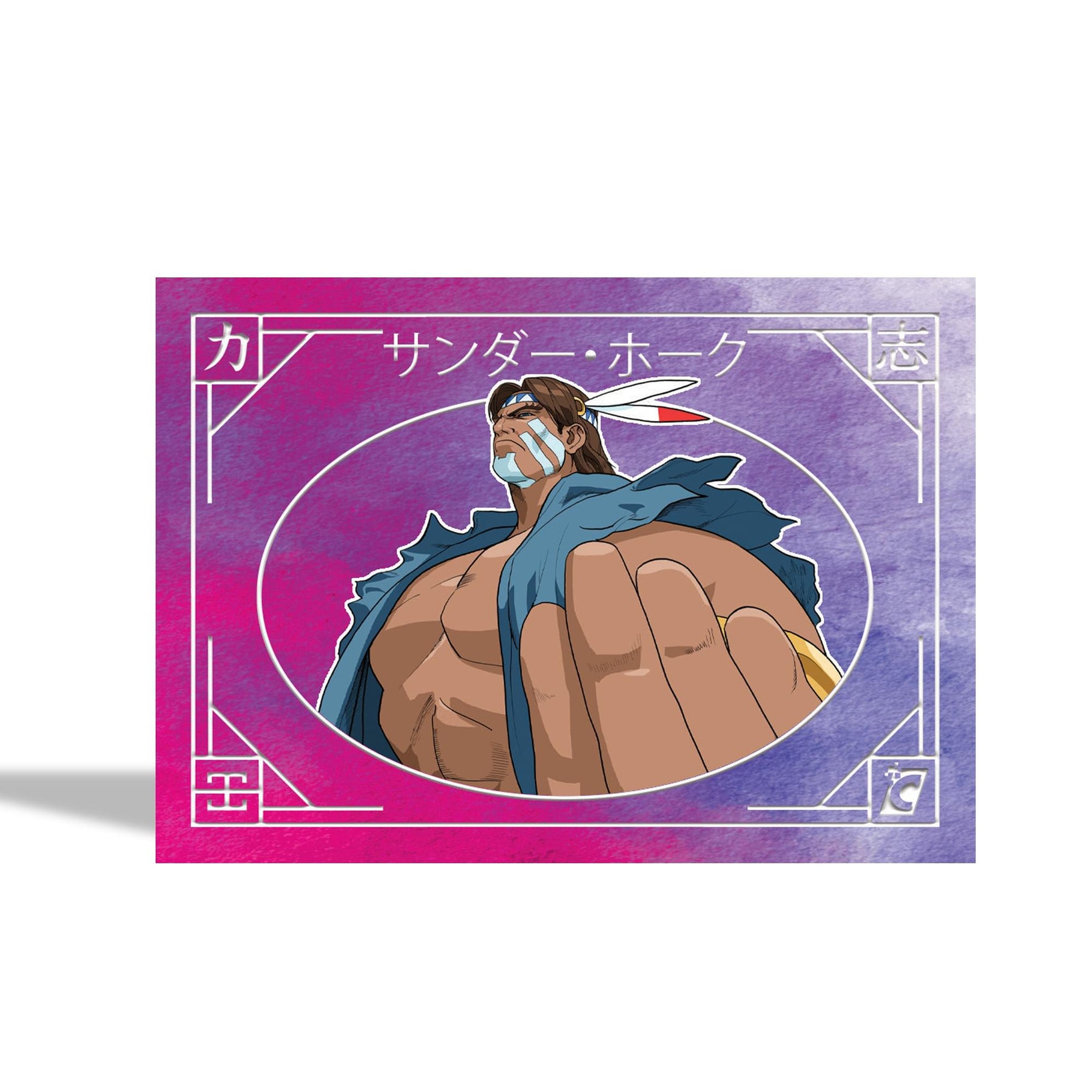 Street Fighter Alpha Trading Cards (Japanese Edition) Master Case | 144 Packs