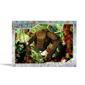 Project Hail Mary Trading Card Mini Set