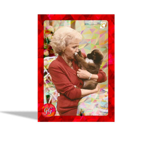 The Golden Girls Series 1 Trading Cards | Master Case 48 Collector Boxes